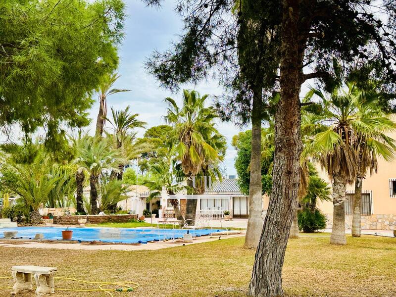 Grottehus til salg i San Vicente del Raspeig, Alicante