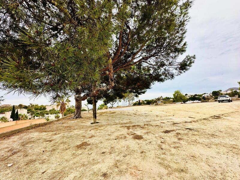 5 chambre Maison Troglodyte à vendre