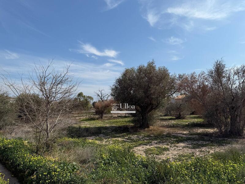 Land til salgs i Alacant/Alicante, Alicante