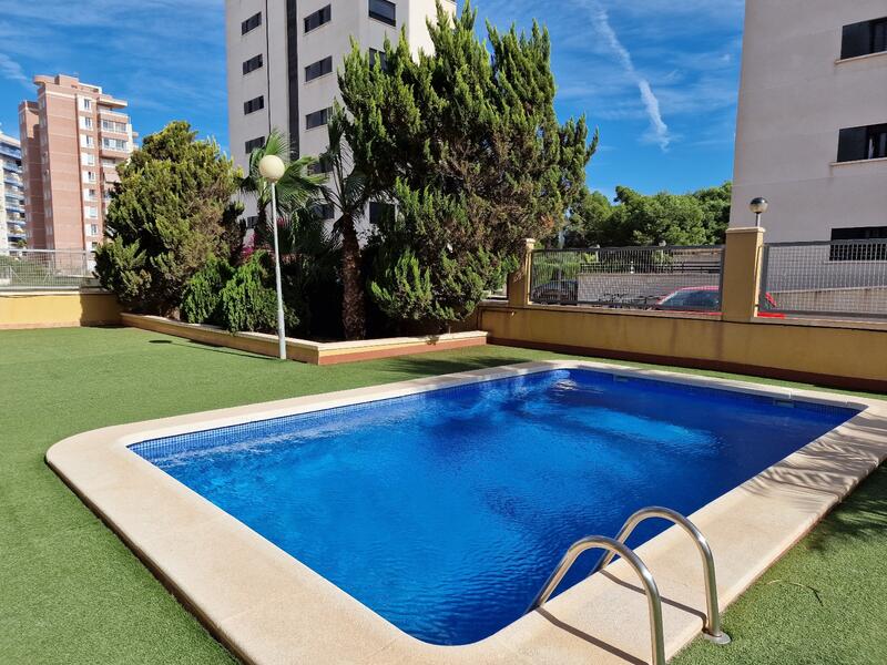 Appartement à vendre dans Guardamar del Segura, Alicante