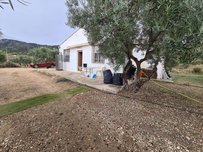 Lantställe till salu i Salinas, Alicante