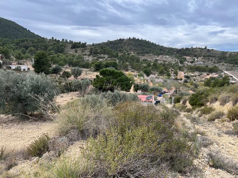 Lantställe till salu i Hondon de las Nieves, Alicante