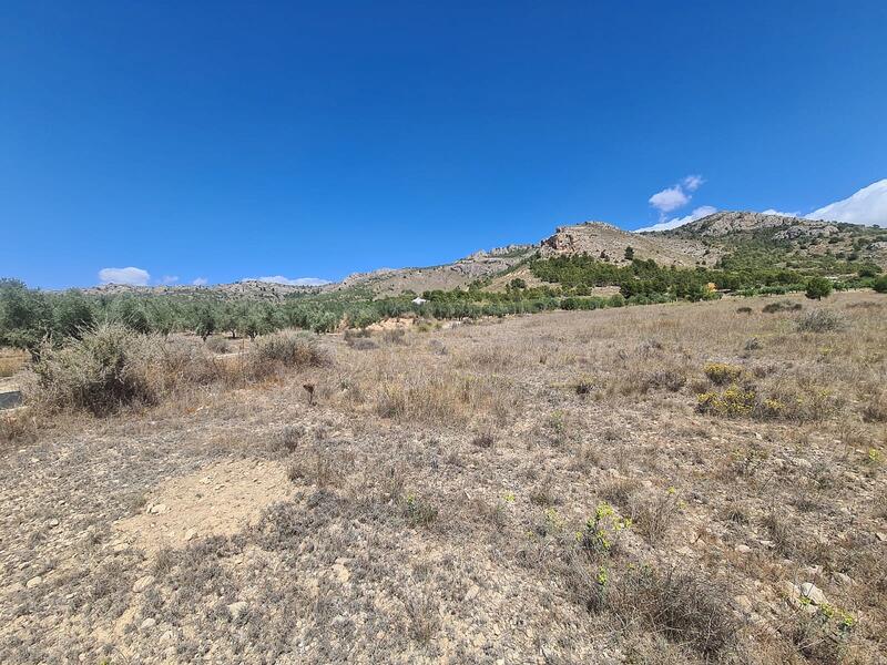 Land for sale in Sax, Alicante