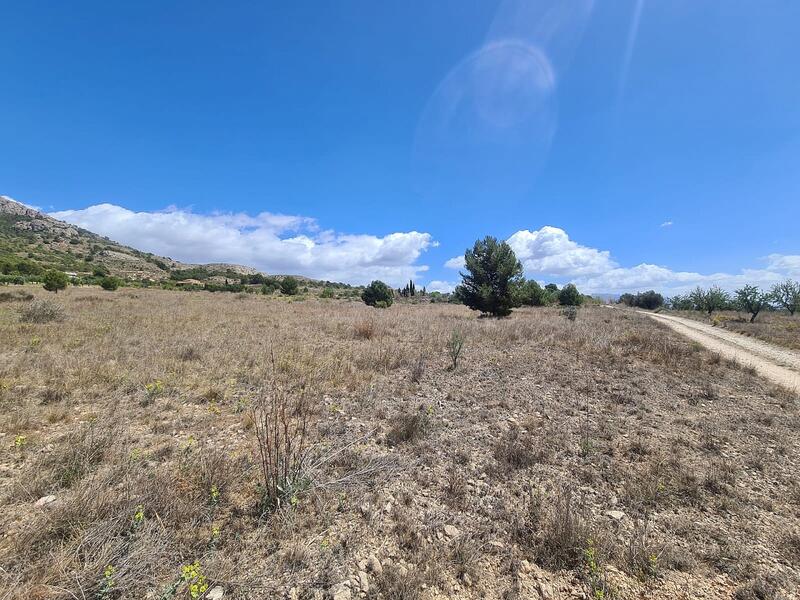 Land for sale