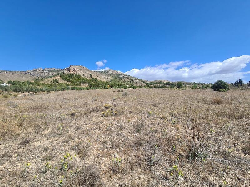 Land for sale