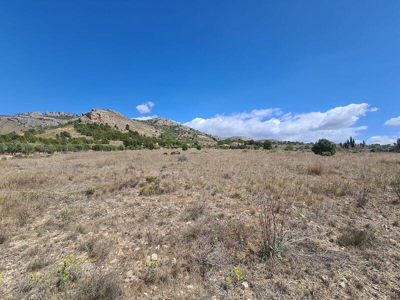 Land for sale