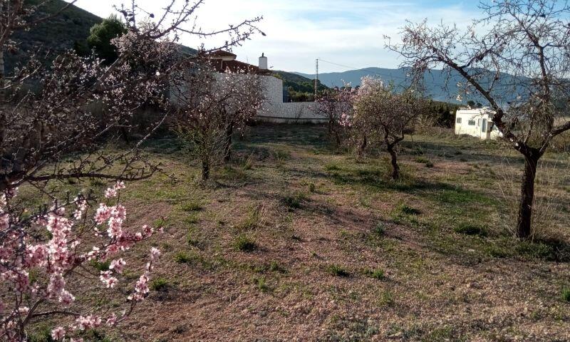 Land for sale in Hondon de las Nieves, Alicante