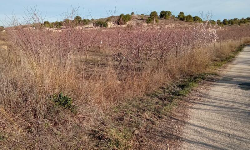 Terrenos en venta