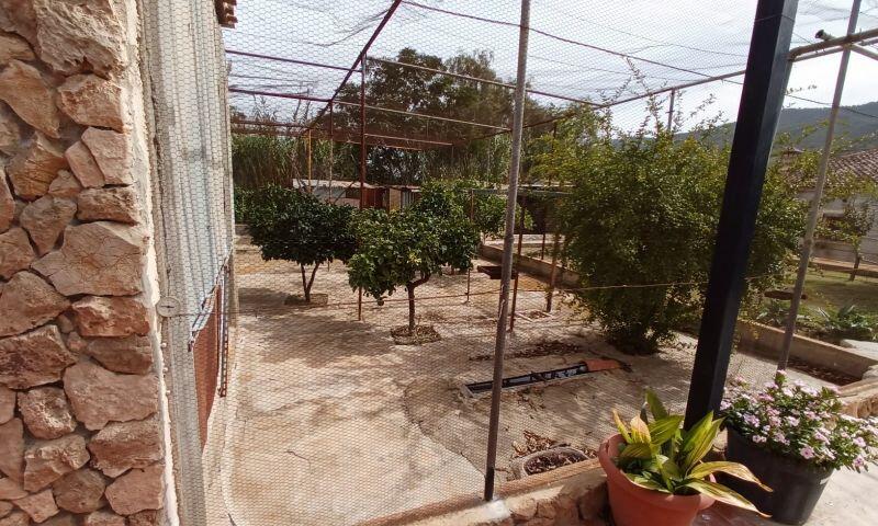 5 Cuarto Villa en venta