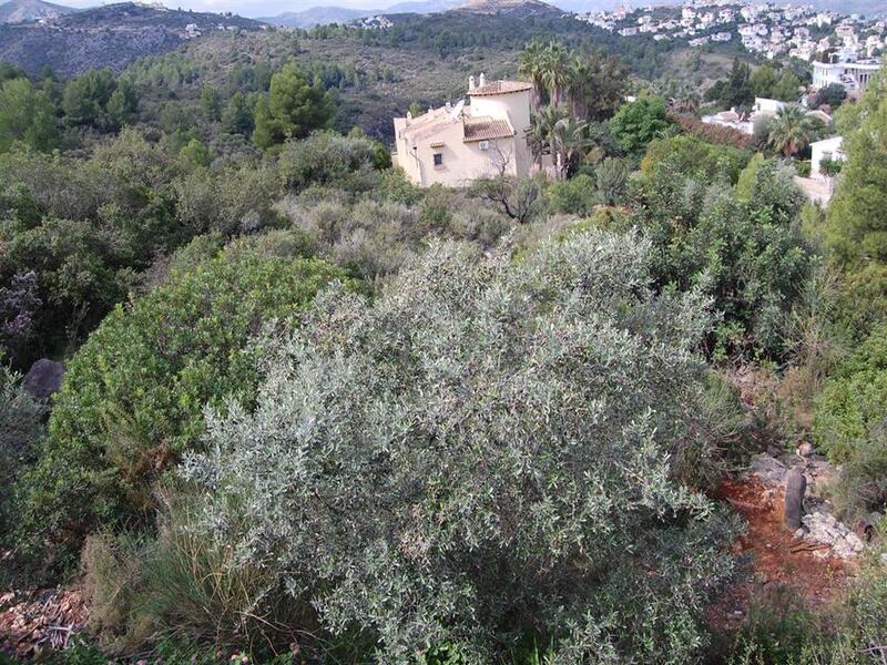 Jord til salg i Monte Pego, Alicante