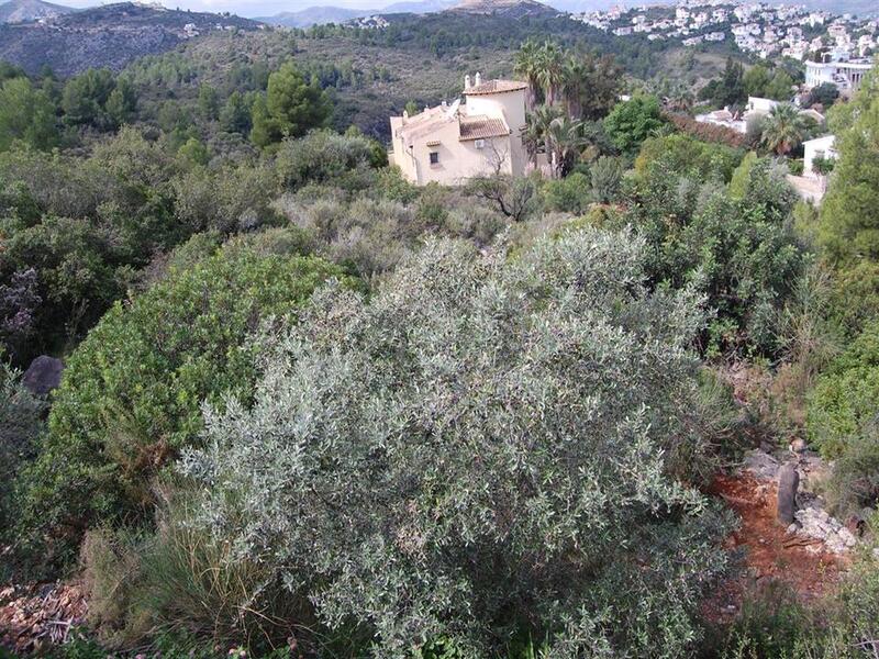 Land for sale in Monte Pego, Alicante