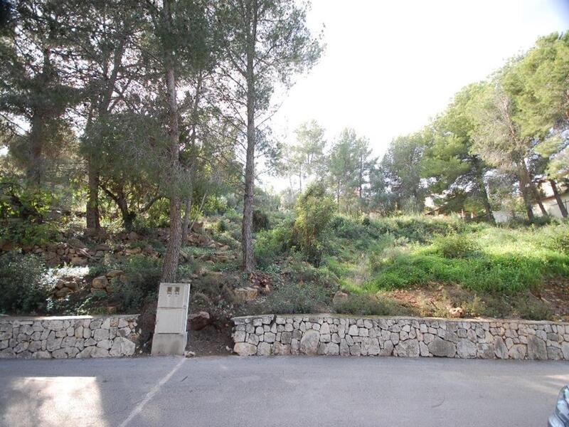 Land for sale in Pedreguer, Alicante