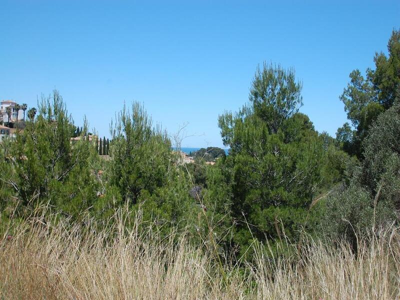 Jord til salg i Denia, Alicante