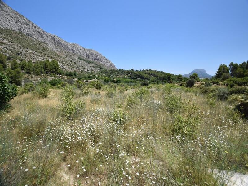 Land for sale in Beniarbeig, Alicante