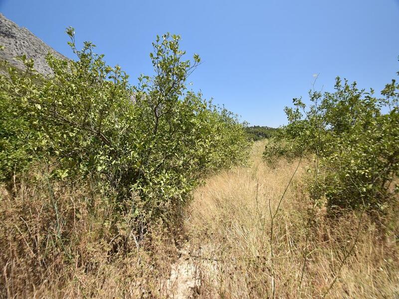 Land for sale