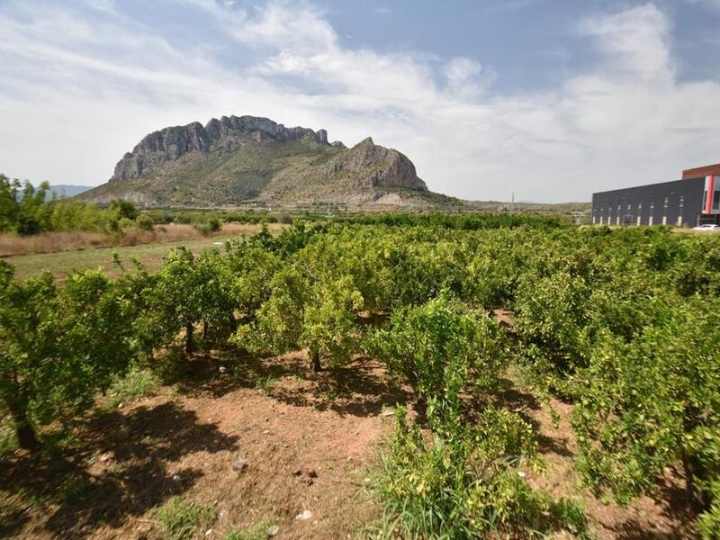 Terrain à vendre dans Els Poblets, Alicante