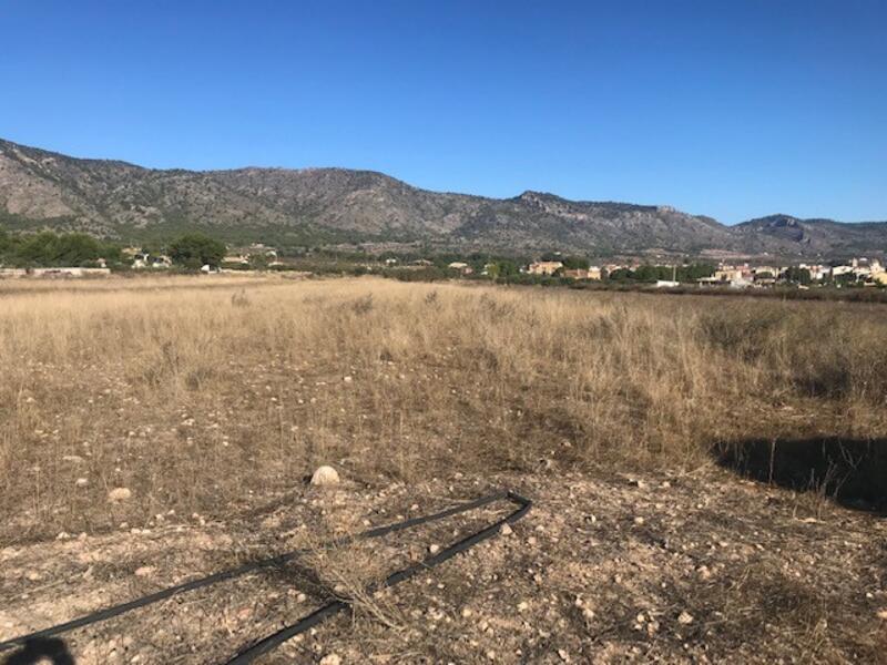 Land for sale