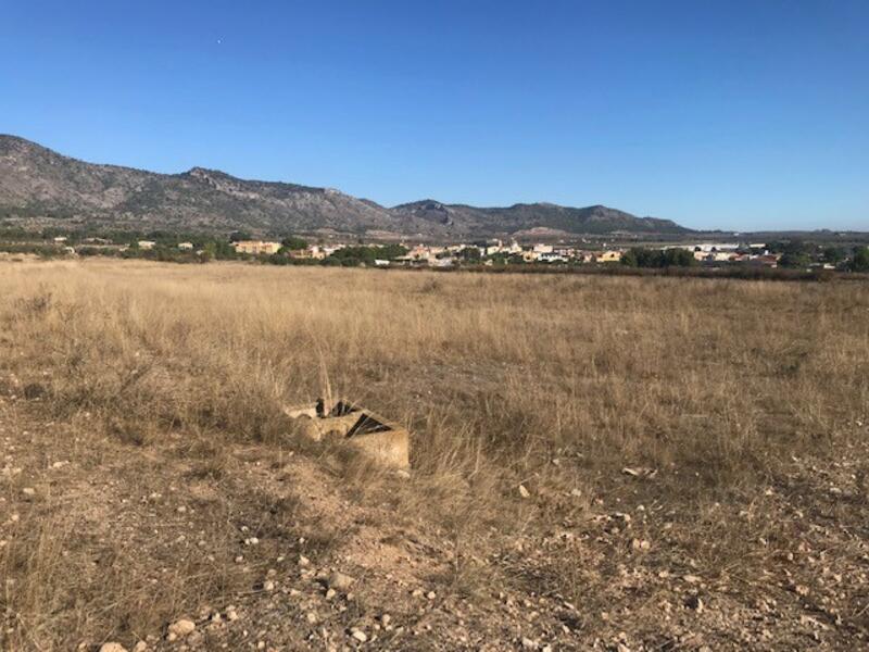 Terrenos en venta