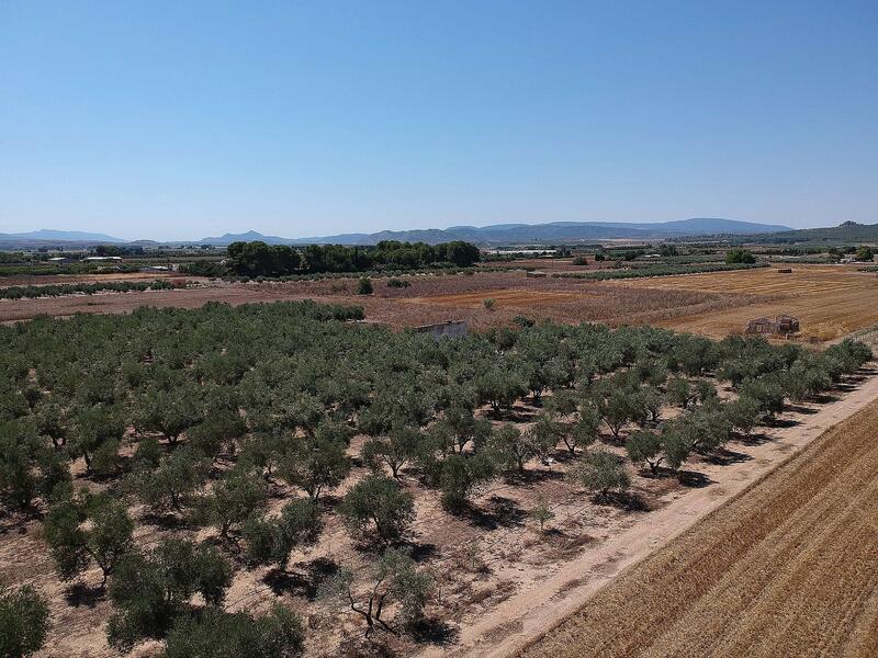 Terrain à vendre