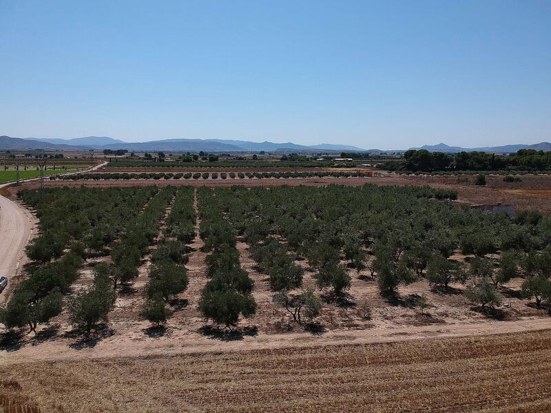 Terrenos en venta