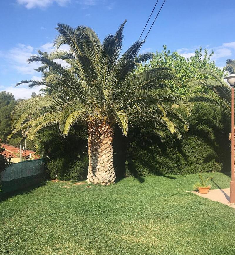 3 Cuarto Villa en venta