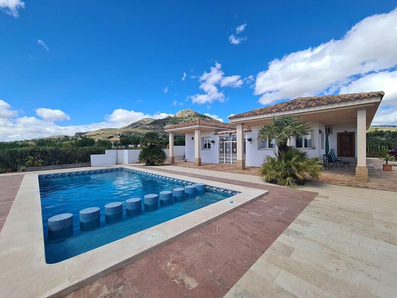 Villa à vendre dans Sax, Alicante