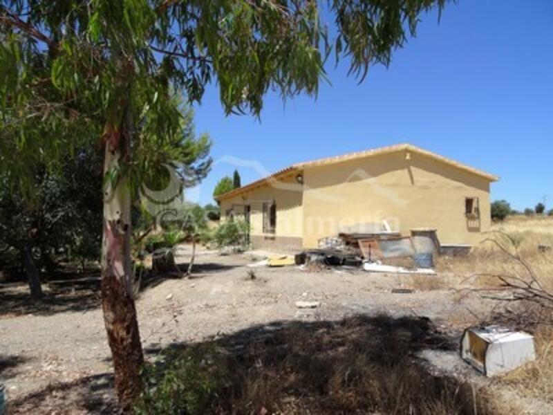 3 Cuarto Villa en venta