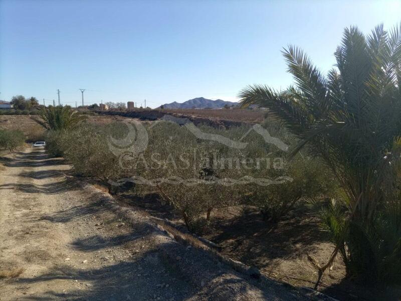 Land for sale in Huercal-Overa, Almería