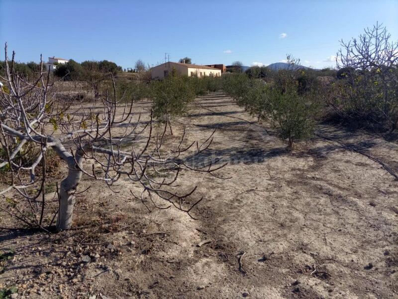 4 Cuarto Casa de Campo en venta