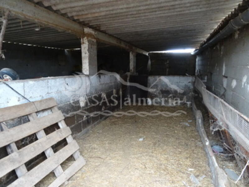 Local Comercial para alquiler a largo plazo