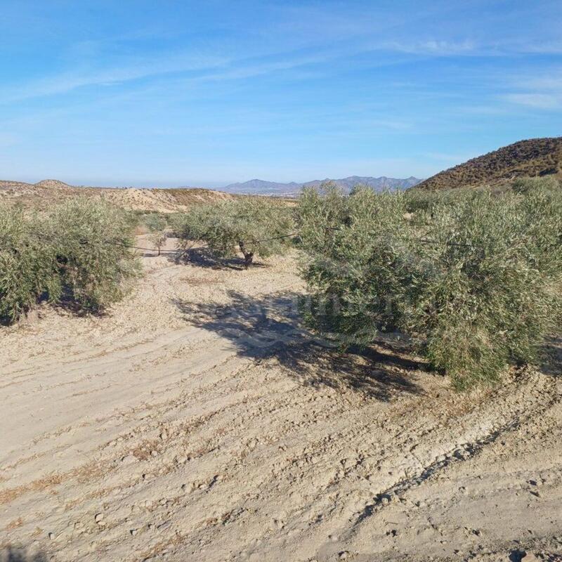 Land for sale in Zurgena, Almería