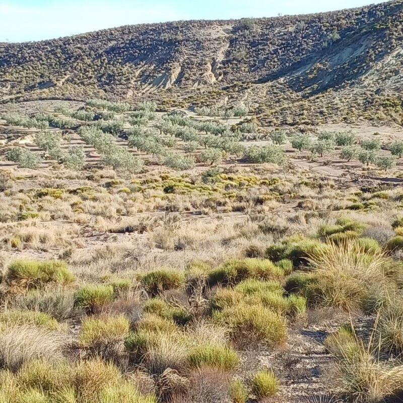 Terrenos en venta