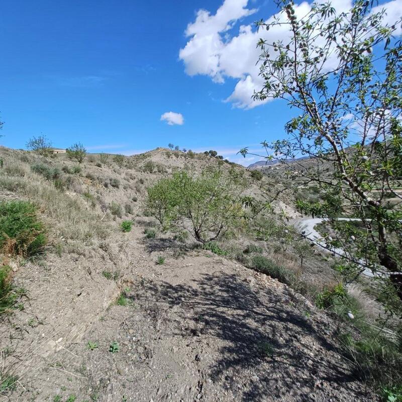 Land for sale in Taberno, Almería