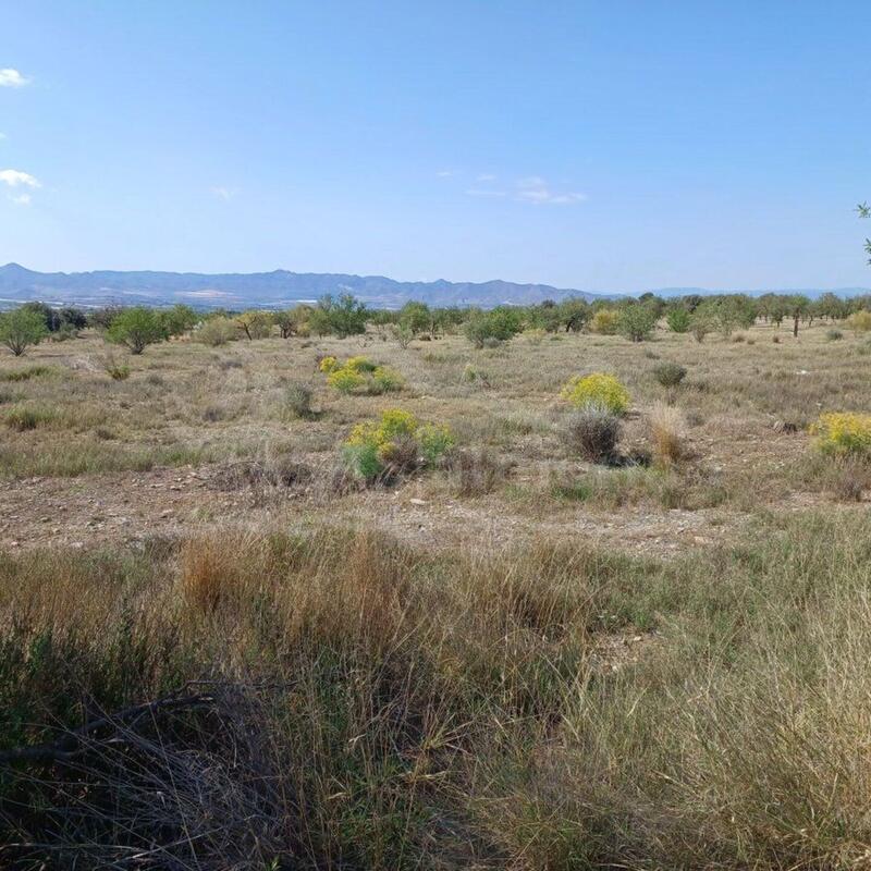 Land for sale in Huercal-Overa, Almería