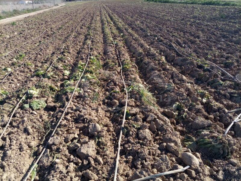 Grundstück zu verkaufen in Huercal-Overa, Almería