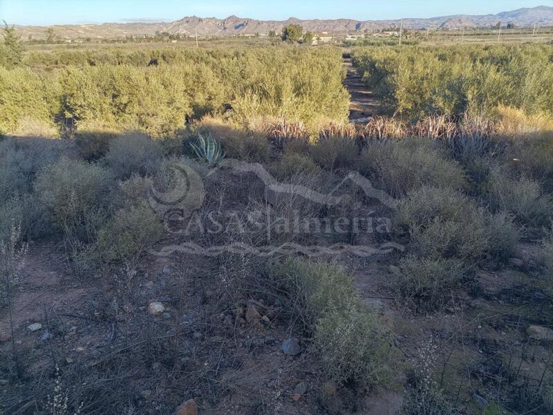 Land for sale in Huercal-Overa, Almería