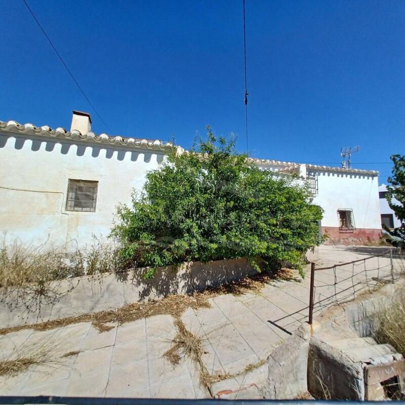 4 Cuarto Casa de Campo en venta