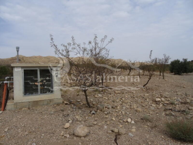Terrenos en venta en Rambla Grande, Almería