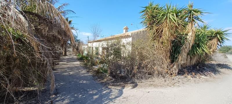 3 Cuarto Villa en venta