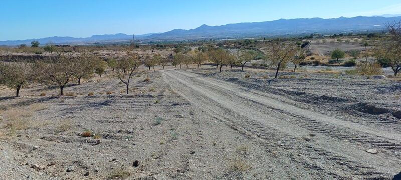 Land for sale