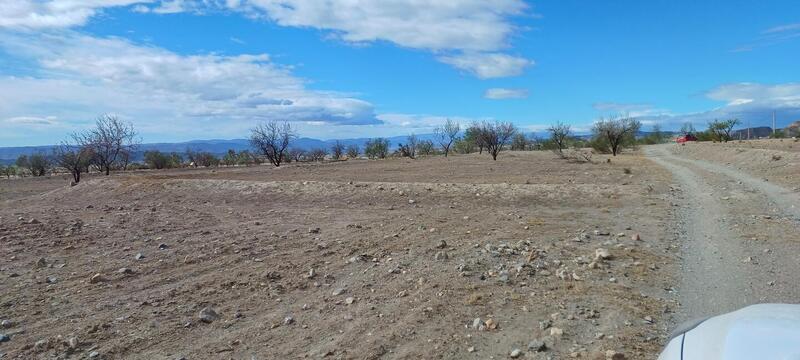 Land for sale in Urcal, Almería