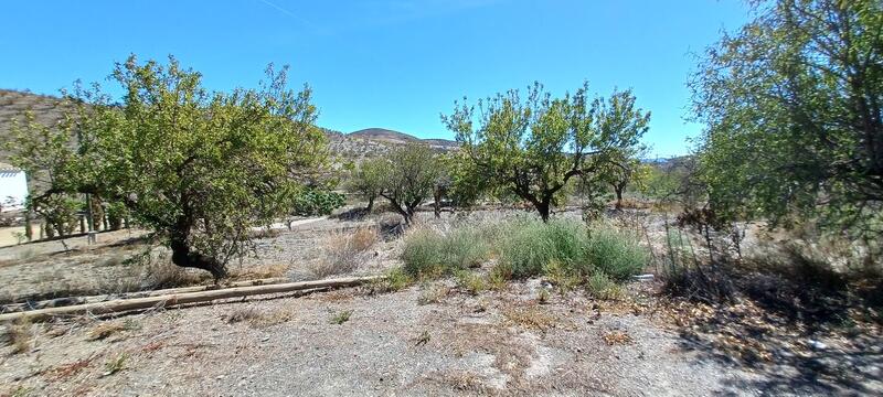 5 bedroom Country House for sale