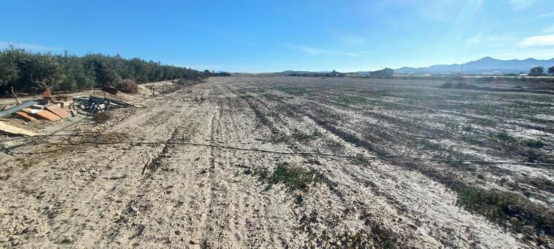 Land til salgs i Huercal-Overa, Almería