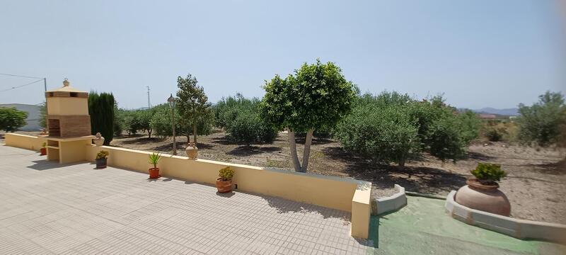 3 Cuarto Casa de Campo en venta