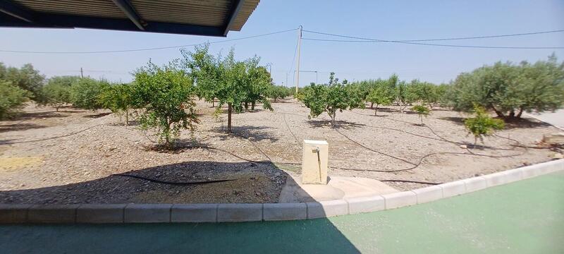 3 Cuarto Casa de Campo en venta