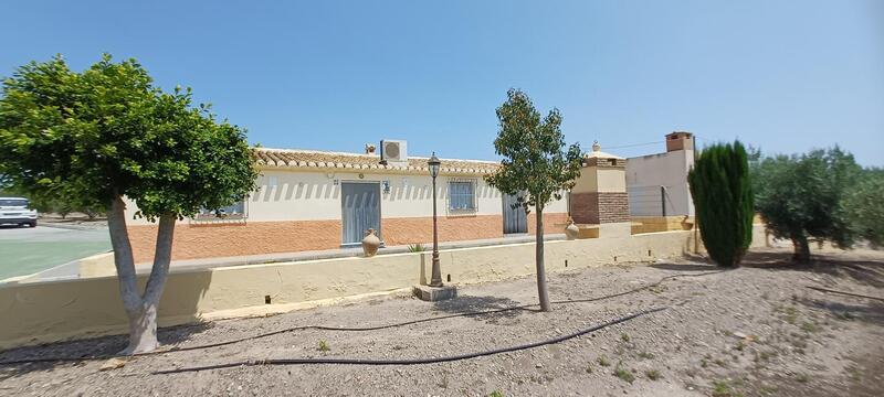 3 Cuarto Casa de Campo en venta