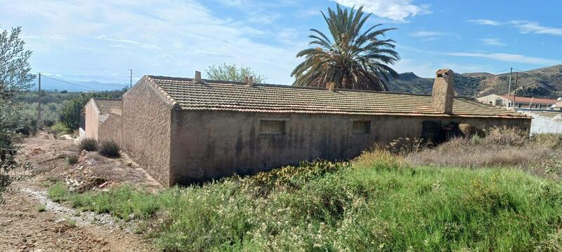 4 soveværelse Landsted til salg