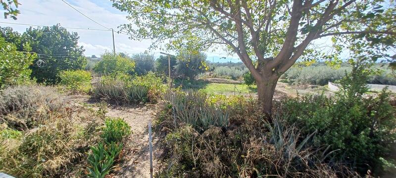 4 soveværelse Landsted til salg