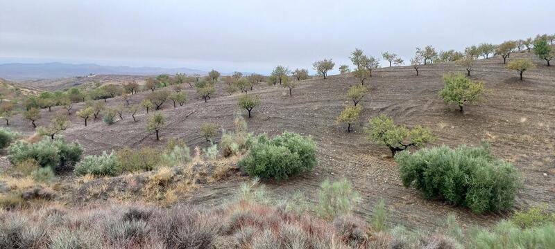 Land for sale Land for sale