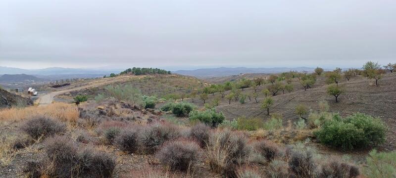 Land for sale Land for sale